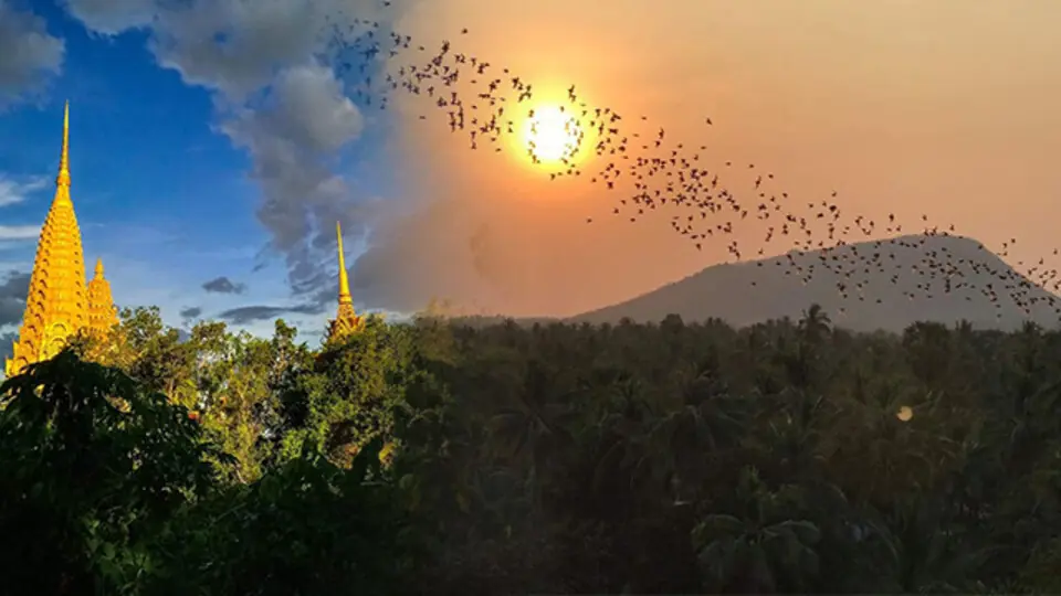 6142a7d5aa3a2_1631758260_medium