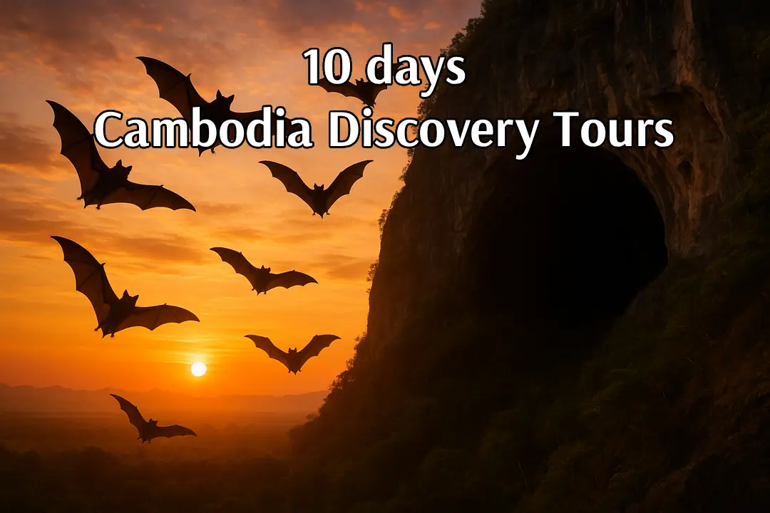10day discovery